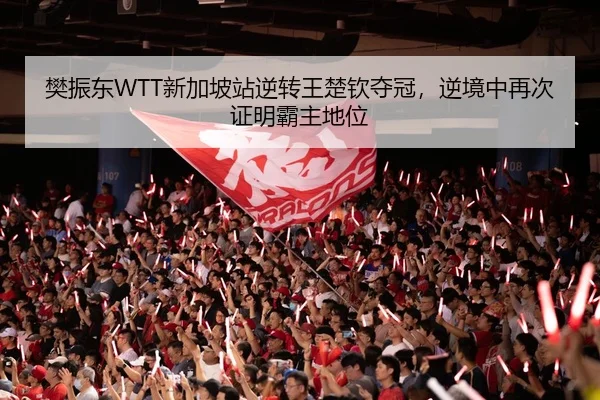 樊振东WTT新加坡站逆转王楚钦夺冠，逆境中再次证明霸主地位