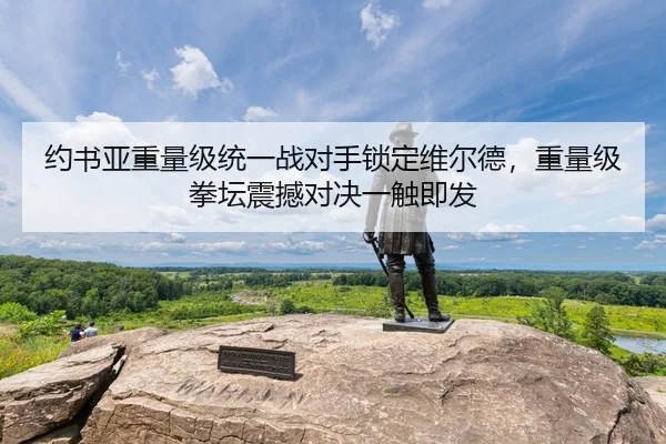 约书亚重量级统一战对手锁定维尔德，重量级拳坛震撼对决一触即发